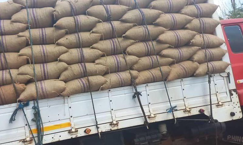 Cocoa smuggling