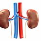 kidney disease(verywellhealth)