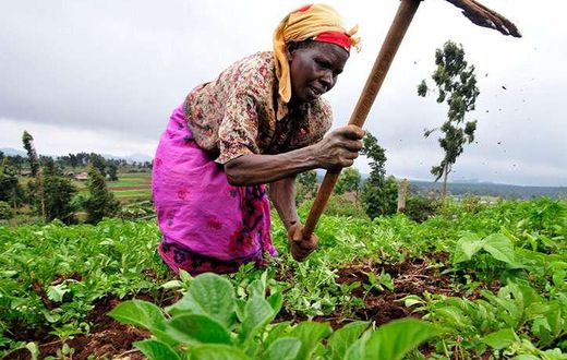 Farmers Day