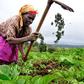 Farmers Day