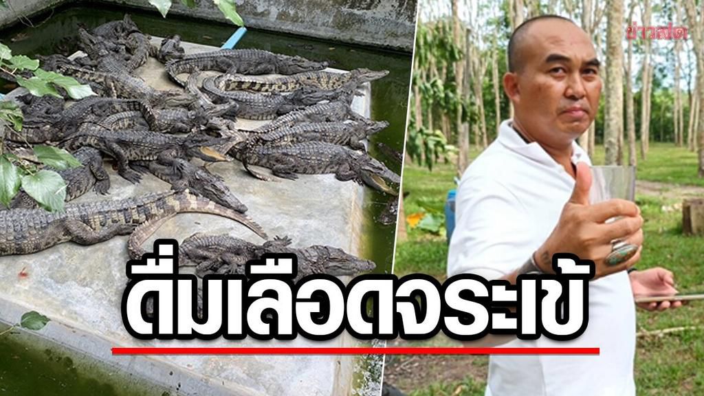 52-year-old businessman drinks crocodile blood 2 times daily, says it gives good health