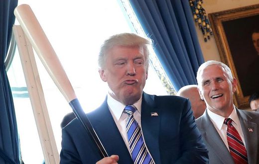Trump baseball bat