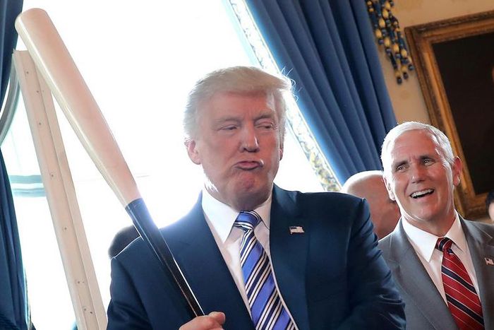 Trump baseball bat