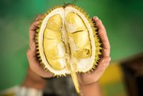 Durian [Allrecipes]