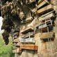 The hanging coffins of Sagada [AncientOrigins]