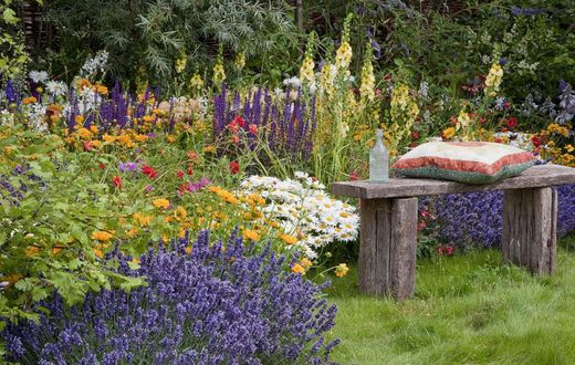 Plants the repel mosquitoes [Country Living Magazine]