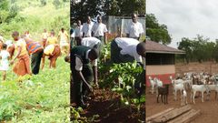 5 compelling reasons Ghana should reintroduce agriculture into schools' curricula