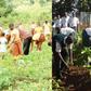 5 compelling reasons Ghana should reintroduce agriculture into schools' curricula