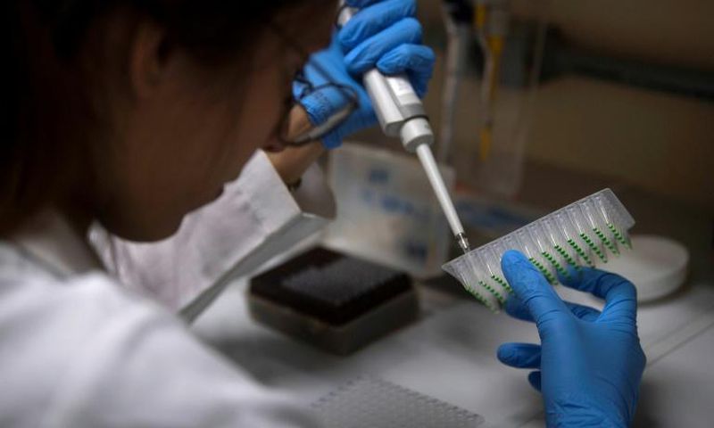 A student of the Federal University of Rio de Janeiro works at a biology laboratory