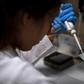A student of the Federal University of Rio de Janeiro works at a biology laboratory