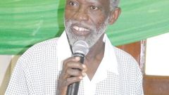 Professor Stephen Adei