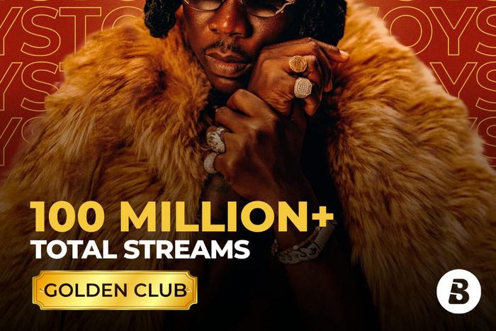 stonebwoy-boomplay-3