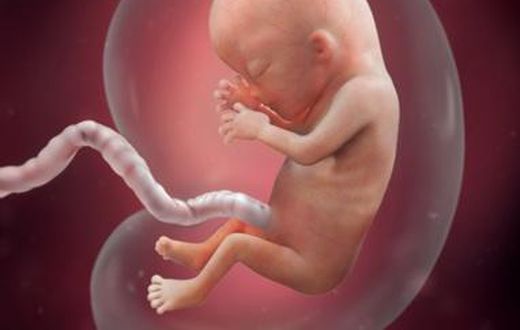 The energy requirement of pregnancy [babycenter]