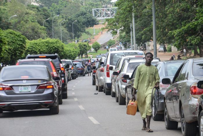Price of Petroleum increased astronomically in Nigeria after President Bola Ahmed Tinubu declared his government's position on fuel subsidy. [GettyImages]