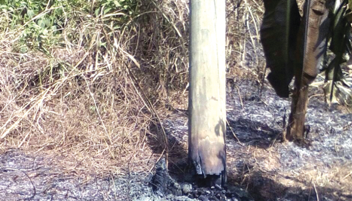 ECG poles burnt
