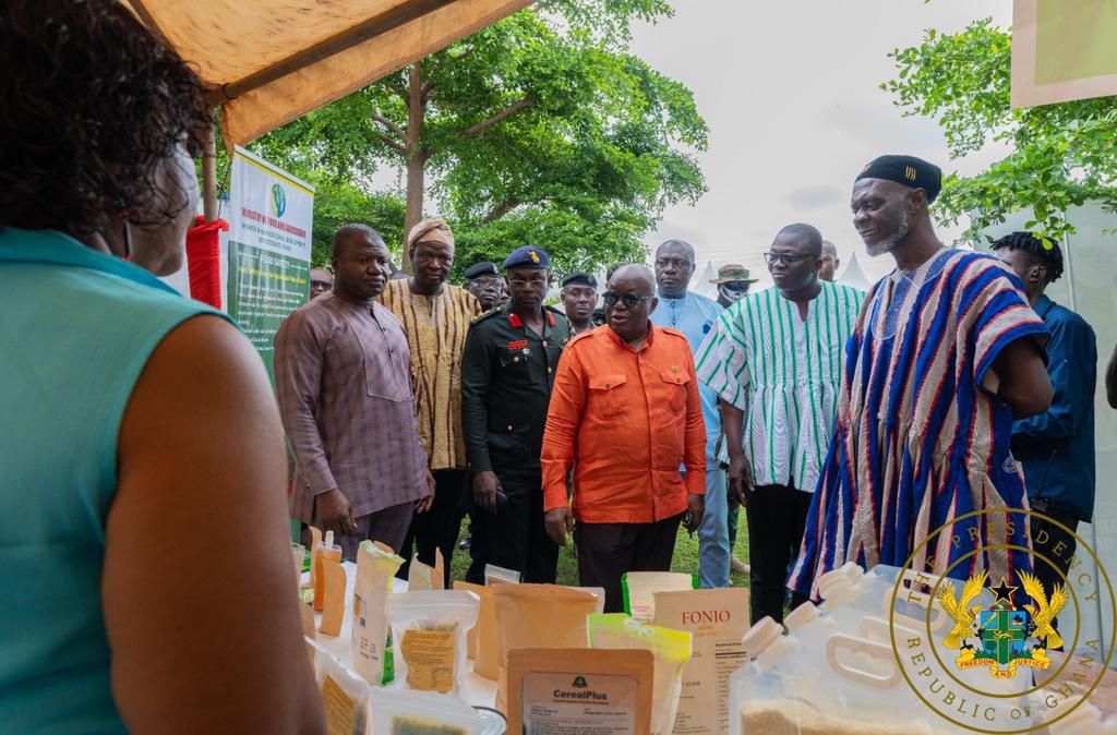 President Akufo-Addo 1