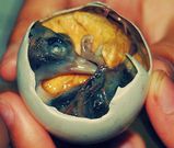 Balut [WinchesterFoodTour]