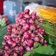 Bunches of red onion with scallions [Image Credit: Ian Panelo]