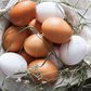 What's the difference between white and brown eggs? [EatThisNotThat]