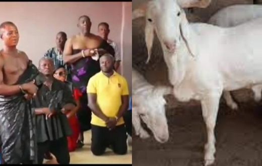 Angry chief fines NDC executives GHC10K and 10 sheep, orders reversal of curse