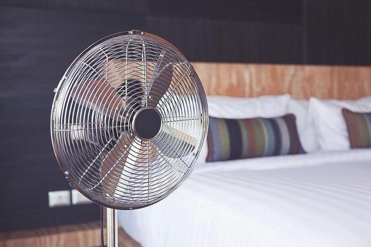 Are you willing to risk your health for a cool down? [Live Science]