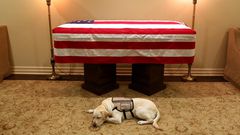 The most powerful images from the nation's remembrance of President George HW Bush