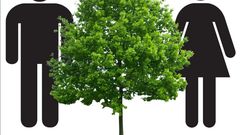 Do plants and trees have sexes? [WoodlandClassroom]