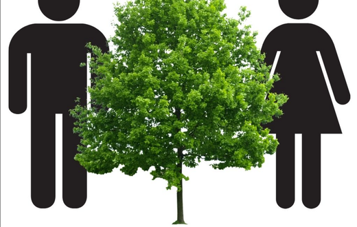 Do plants and trees have sexes? [WoodlandClassroom]