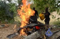 Illegal miners burn
