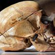 DNA of skulls pillaged by Germans have been linked to living relatives in Tanzania