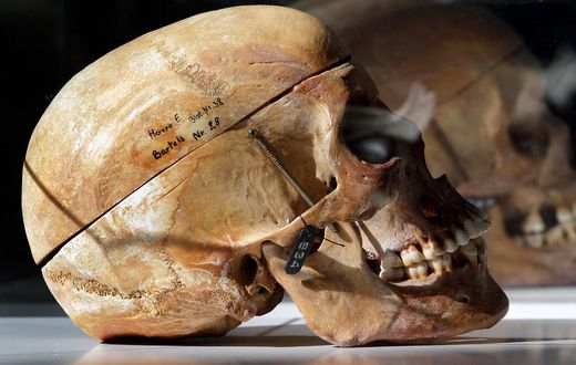 DNA of skulls pillaged by Germans have been linked to living relatives in Tanzania