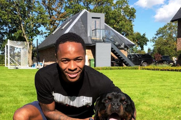 ___9099918___2018___11___13___14___Sterling+and+Dog