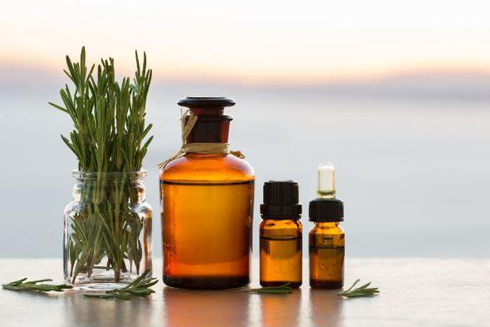 Rosemary for hair growth
