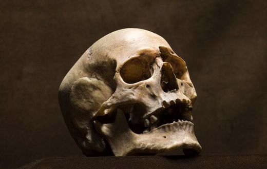 Man finds human skull in front of his house