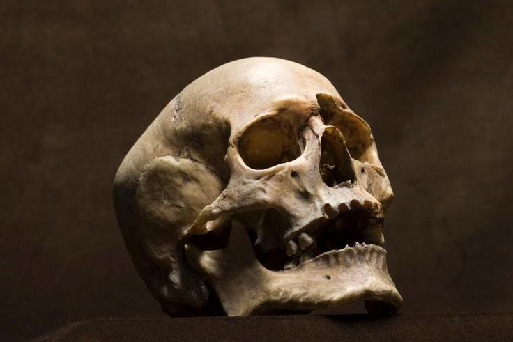 Man finds human skull in front of his house