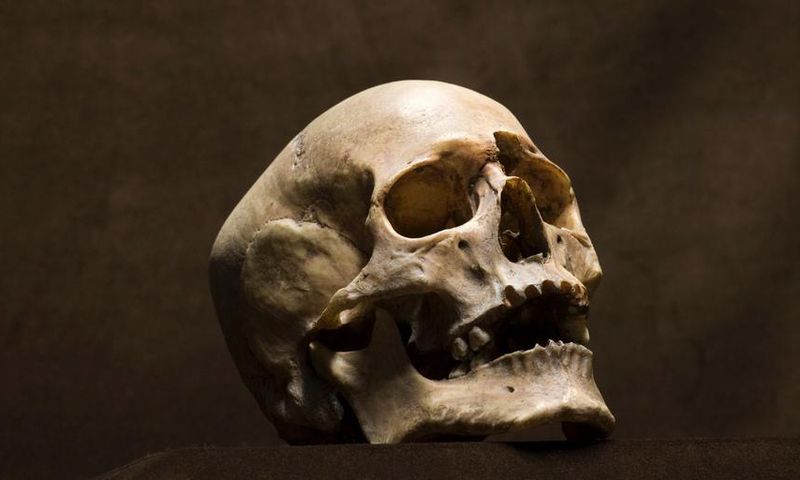 Man finds human skull in front of his house