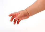 Carpal bones