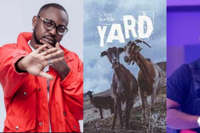 Yaa Pono drags Sarkodie on his yard song