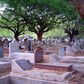 ___7166766___https:______static.pulse.com.gh___webservice___escenic___binary___7166766___2017___8___18___13___cemetary