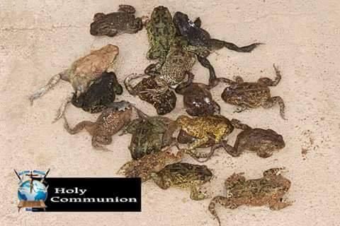 Pastor feeds frog, dog meat and blood to members as cure for HIV/AIDS and cancer
