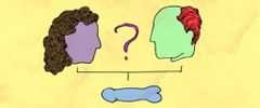 The size and shape of a penis are influenced by genetics [Medium]