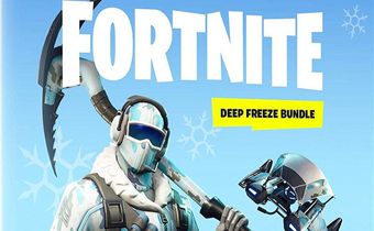 Fortnite Bundle