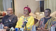 Professor P. L. O. Lumumba, Dr Arikana Chihombori-Quao, and Peter Obi.