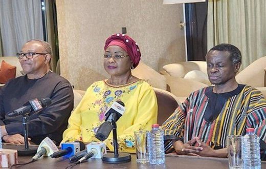 Professor P. L. O. Lumumba, Dr Arikana Chihombori-Quao, and Peter Obi.