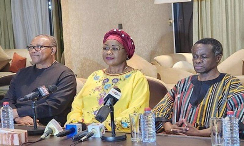 Professor P. L. O. Lumumba, Dr Arikana Chihombori-Quao, and Peter Obi.