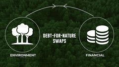 African Development Bank is looking to initiate the revolutionary debt-for-nature exchange program