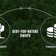 African Development Bank is looking to initiate the revolutionary debt-for-nature exchange program
