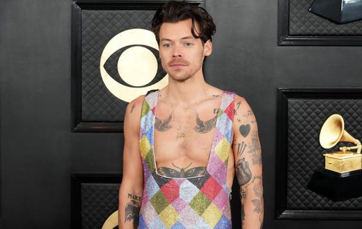 Harry Styles won big at the 2023 Grammys but was criticized for his acceptance speech and performance.