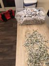 2-year-old shreds over $1,000 his parents saved to pay a debt