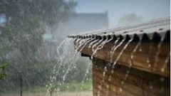 Rain
